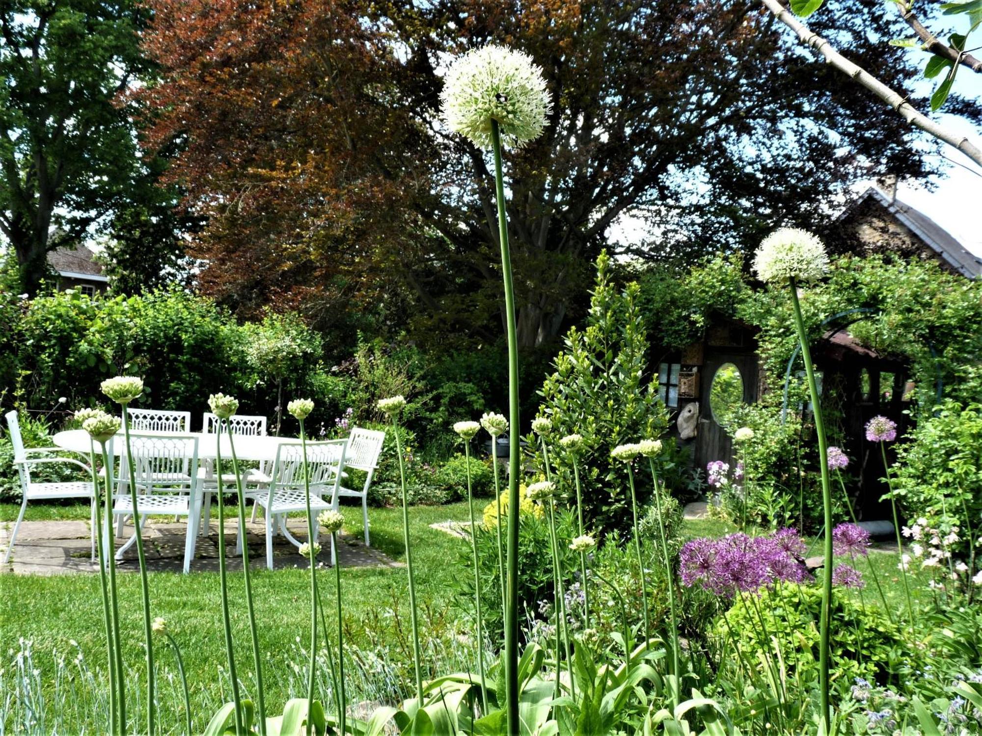 Bed and Breakfast Le Jardin Des Miroirs Esneux Exterior foto